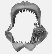 Man inside a megalodon jaw