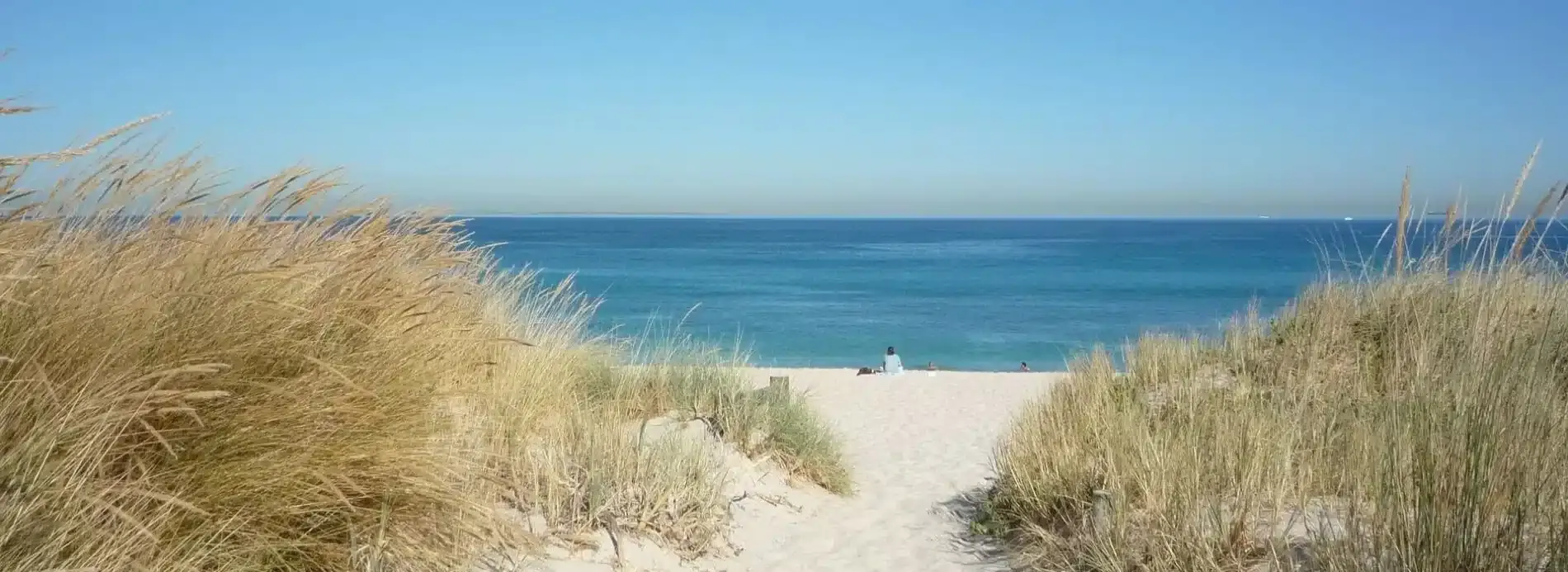 Manatee Public Beach: Anna Maria Island Beach Guide