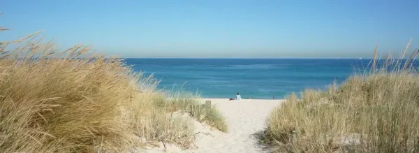Manatee Public Beach: Anna Maria Island Beach Guide